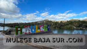 Geography:, Baja California Peninsula, Gulf of California, Pacific Ocean, Sierra de la Laguna, Desert, Coastline, Islands, Arid Climate,, History:, Spanish Colonization, Missions, Jesuit, Franciscan, Dominican, Mexican Revolution, Statehood (1974), Porfirio Diaz,, Culture:, Indigenous Peoples (Pericúes, Guaycuras, Cochimí, Monquis), Cave Paintings, Fishing, Tourism, Cuisine,,Bay of Conception:,, Geography:, Bay, Coastline, Beaches, Inlets, Islands, Marine Life,, History:, Spanish Exploration, Coastal Settlements, Fishing Traditions,, Culture and Tourism:, Fishing Villages, Ecotourism, Kayaking, Whale Watching, Snorkeling